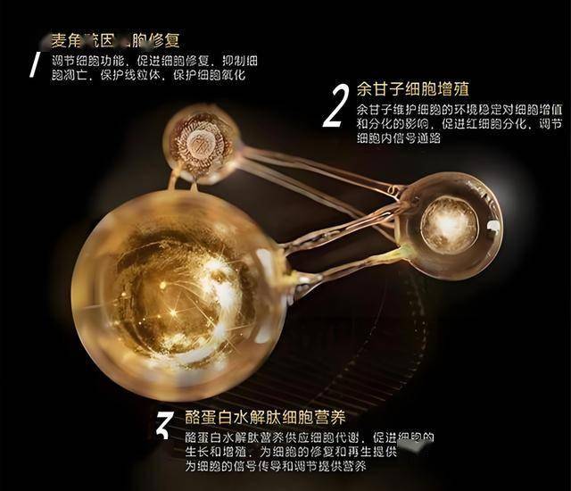 松溪：科学管控炼山作业，大气质量优良率达100%